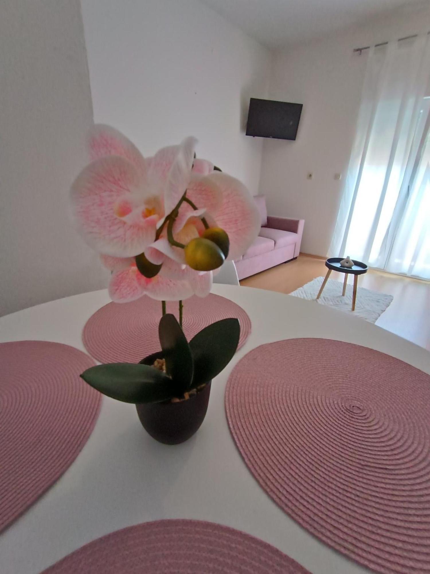 Apartman Lea Sukošan Εξωτερικό φωτογραφία